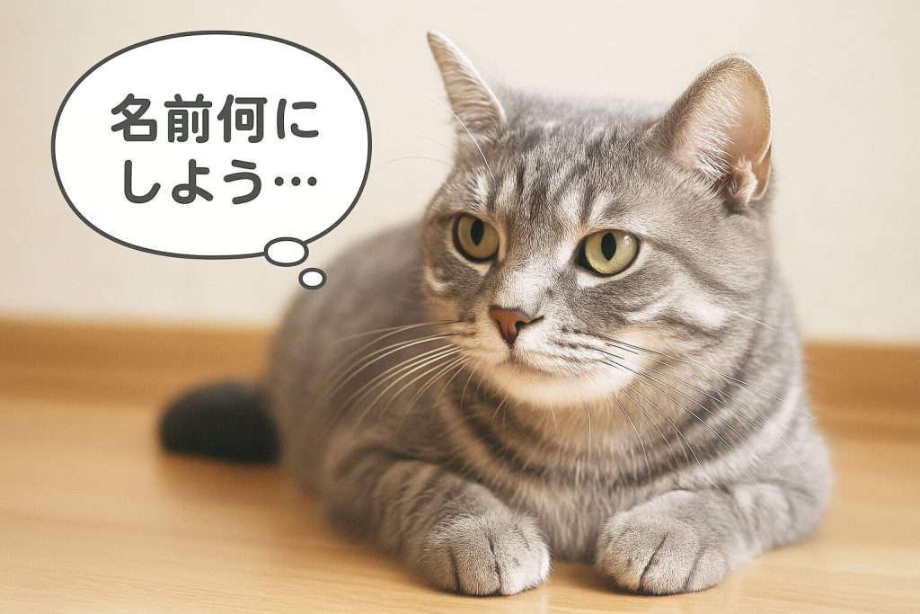 名前を何にしようか悩んでいるサバトラ猫